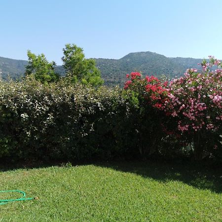 Ou Souleou Apartamento Bormes-les-Mimosas Exterior foto