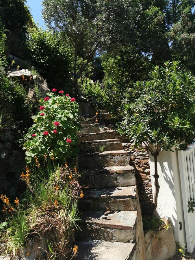 Ou Souleou Apartamento Bormes-les-Mimosas Exterior foto