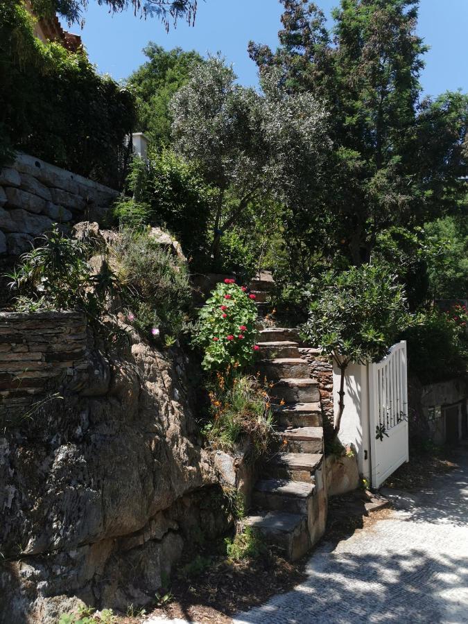 Ou Souleou Apartamento Bormes-les-Mimosas Exterior foto