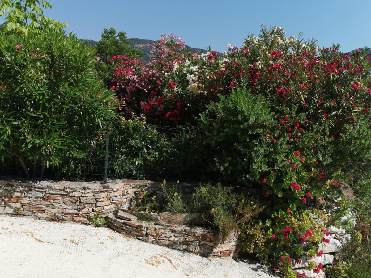 Ou Souleou Apartamento Bormes-les-Mimosas Exterior foto